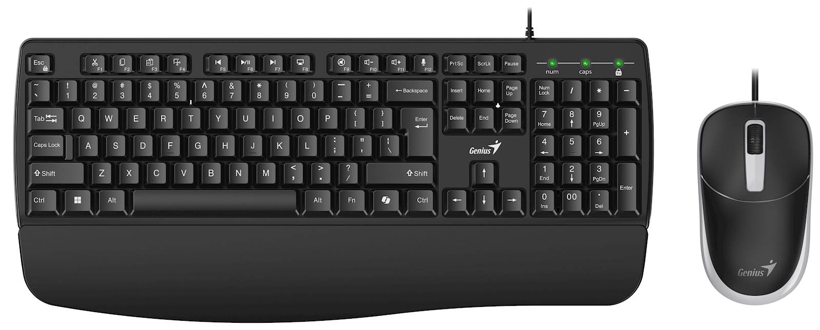 Tipkovnica Genius KB-123,PR,AI,BLK,SER,USB - slika 8
